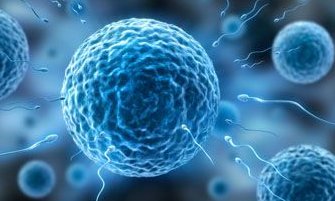 湖北咸宁能做试管婴儿吗？大多数姐妹都在这里做试管！