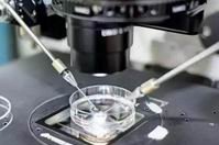 福州试管婴儿医院排名医院在哪里？