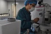 邵阳市中心医院做三代试管成功率如何？一文读懂需要花多少钱