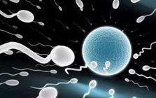 徐州中心医院和妇幼保健院哪个人工授精技术好？