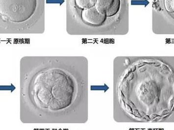 普洱市人民医院人工授精多少钱