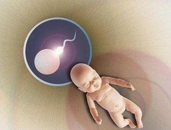 武汉市妇女儿童医疗保健中心做三代试管成功率如何？一文读懂需要花多少钱